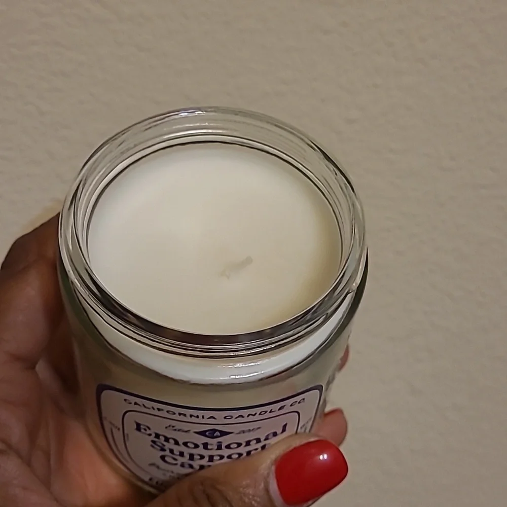 Emotional Support Candle - Eucalyptus Mint - 6.5oz